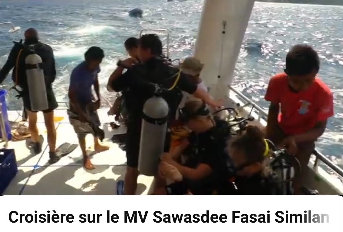 Plongeurs préparant leur matériel de plongée sur le pont du bateau